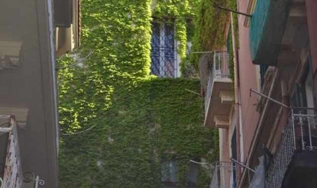 Nel rione Madonnella c'� il palazzo-giungla: unico caso a Bari